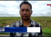 KORBAN PEMERKOSAAN ALAMI TRAUMA BERAT