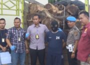 Ratusan Kayu Selundupan Diamankan Petugas