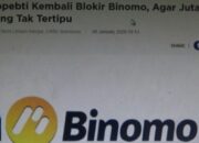 Jutaan Orang Belum Mengetahui, Binomo Ilegal!