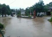 Banjir Rendam Enam Kecamatan di Pesawaran