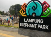 Fraksi Demokrat, Alih Fungsi Taman Gajah Jadi Masjid Harus Survey Publik
