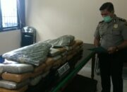 Narkoba Senilai Rp2,4 Miliar Diamankan Ops Antik Krakatau