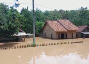 Banjir Kepung Enam Kampung di Way Kanan