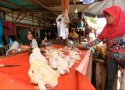 Stok Daging di Lampung Surplus