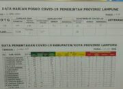 Update Corona Lampung 23 April: Positif Corona Melonjak Jadi 38, PDP 60 Kasus