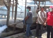 Satu Warga Meninggal Terserang DBD di Pesawaran