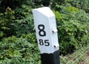 Jogging Pakai Headset, Tewas Disambar Babaranjang