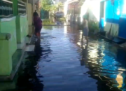 Air Laut Pasang Masuk Pemukiman Warga