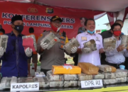 Ganja 54,2 Kg Diamankan di Bakauheni