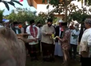 Salat Ied di PKOR Arinal Djunaidi Serahkan 2 Sapi Kurban