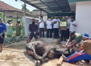 Hewan Kurban Meningkat Baznas Bandar Lampung Bagikan Daging di 9 Kelurahan