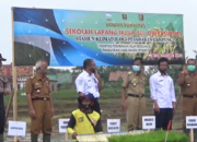 Kejar Target, Walikota Metro Tanam Padi