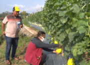 Barokah Kresna Agrowisata Bangun Konsep Edukasi Pertanian