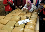 BNNP Lampung Gagalkan Penyelundupan 206 Kg Ganja