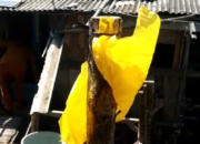 Buruh Asal Panjang Meninggal di Malaysia, Pempov Lampung Tunggu Konfirmasi Pusat