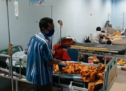 Kejar Layangan, Bocah Dikeroyok Anjing