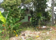 Dari Bogor 1 Pendeta Positif Covid-19, Anak dan Istri Non-Reaktif