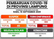 12 Kasus Baru, 666 Konfirmasi Positif Covid-19 di Lampung