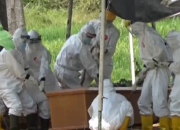 Pasien Covid-19 Asal Metro Meninggal, 3 Pekan di Madura