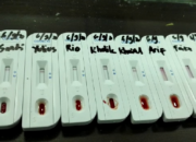 Covid-19 Papar Cawabub, 48 Jurnalis Non Reaktif