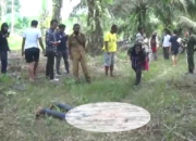 Terungkap, Pria Terkapar di Kebun Sawit Dianiaya Rekan Sendiri