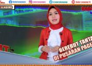 Berebut Tahta di Pusaran Pagebluk