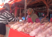 Harga Ayam dan Telur Merangkak Naik