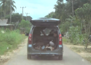 Sengketa Lahan di Lampung Tengah, 2 Tewas 1 Kritis