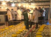 Faperta Unila Bentuk Basic Enterpreneur Industri Peternakan