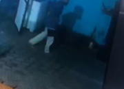 Waspada! Pencuri Burung Gentayangan di Bandar Lampung