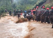 Jalur Liwa-Krui Longsor, Pengendara Sempat Terjebak 2 Jam