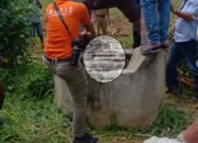 Mayat Identitas Hongkong Membusuk di Sumur