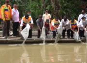Bupati Lampung Tengah Tabur Benih Ikan di Sungai Way Seputih Bumi Nabung