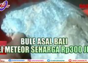 METEOR LAMPUNG TENGAH: Bule Asal Bali Beli Meteor Seharga Rp300 Juta