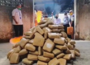 Insiden Pemusnahan Narkoba Ceroboh, Api Nyaris Renggut Korban