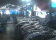 Harga Ikan Laut Melambung