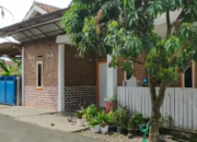 Terduga Teroris Diamankan