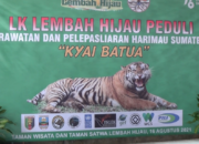 Kyai Batua Gagal Pulang ke Habitat