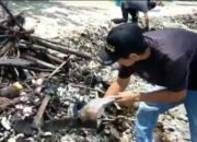 Limbah Kepung Teluk Lampung, Tarik Ulur Penanganan Disorot