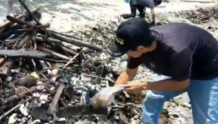 Limbah Kepung Teluk Lampung, Tarik Ulur Penanganan Disorot