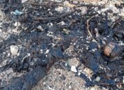 PERAIRAN LAMPUNG SELATAN TERCEMAR ASPAL : Diduga Dari Kapal Dibuang Di Tengah Samudera