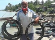 Pembudidaya Kerang Hijau Gagal Panen