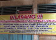 Lima Lapo Tuak Dibongkar Satpol PP