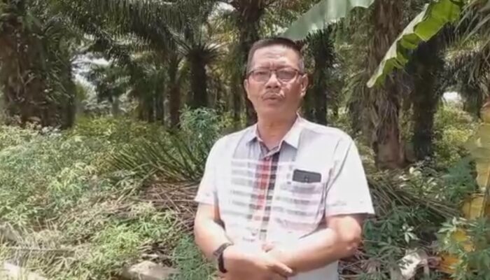 Beruang Teror 3 Dusun, Dua Bulan Perangkap Tak Berhasil