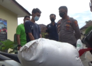 Viral, Bajing Loncat Tanjakan PJR Dicokok