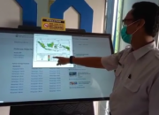 Dampak La Nina Ancam Lampung