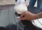 IRT Bawa Sabu Dalam Gula Untuk Anak di Rutan