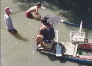 Hiu Tutul dan Anak Terdampar di Pantai Sukaraja