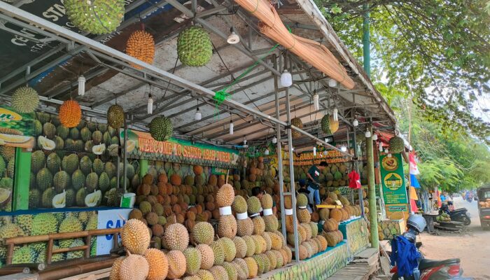 Pedagang Durian Merajai Metropolis