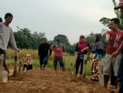 Puluhan Patok Kuburan Tercabut, Ini Penyebabnya